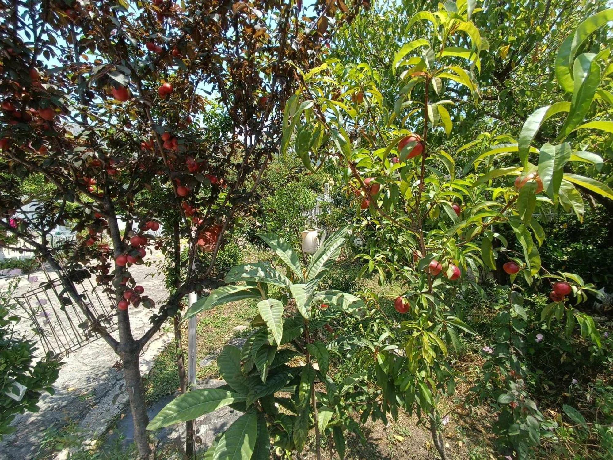 Irene'S Home Igoumenitsa Ngoại thất bức ảnh