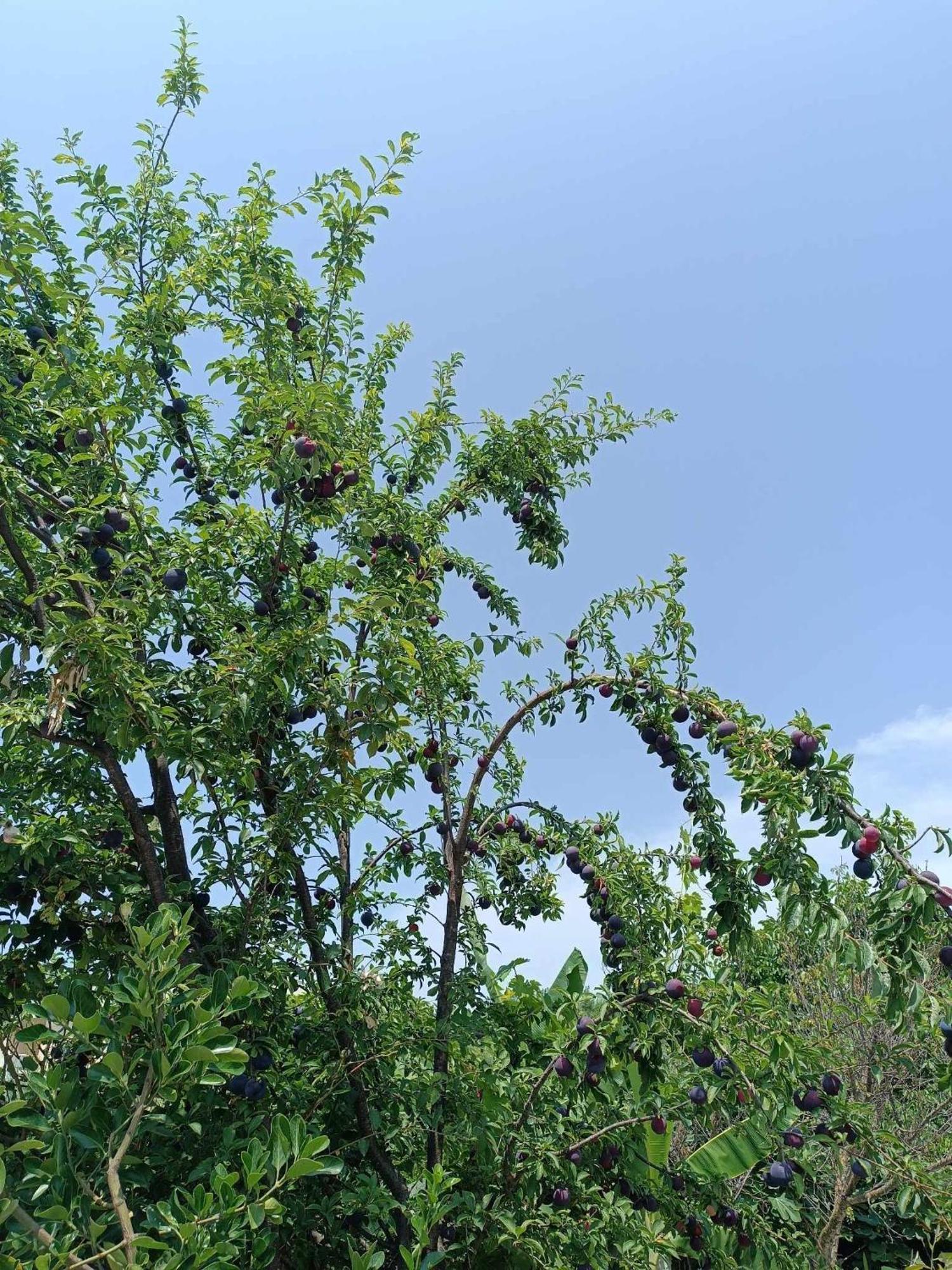 Irene'S Home Igoumenitsa Ngoại thất bức ảnh
